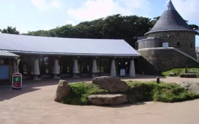 ‘Suspended Collaboration’ – Oriel y Parc residency May/June 2021